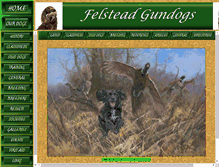 Tablet Screenshot of felsteadgundogs.com